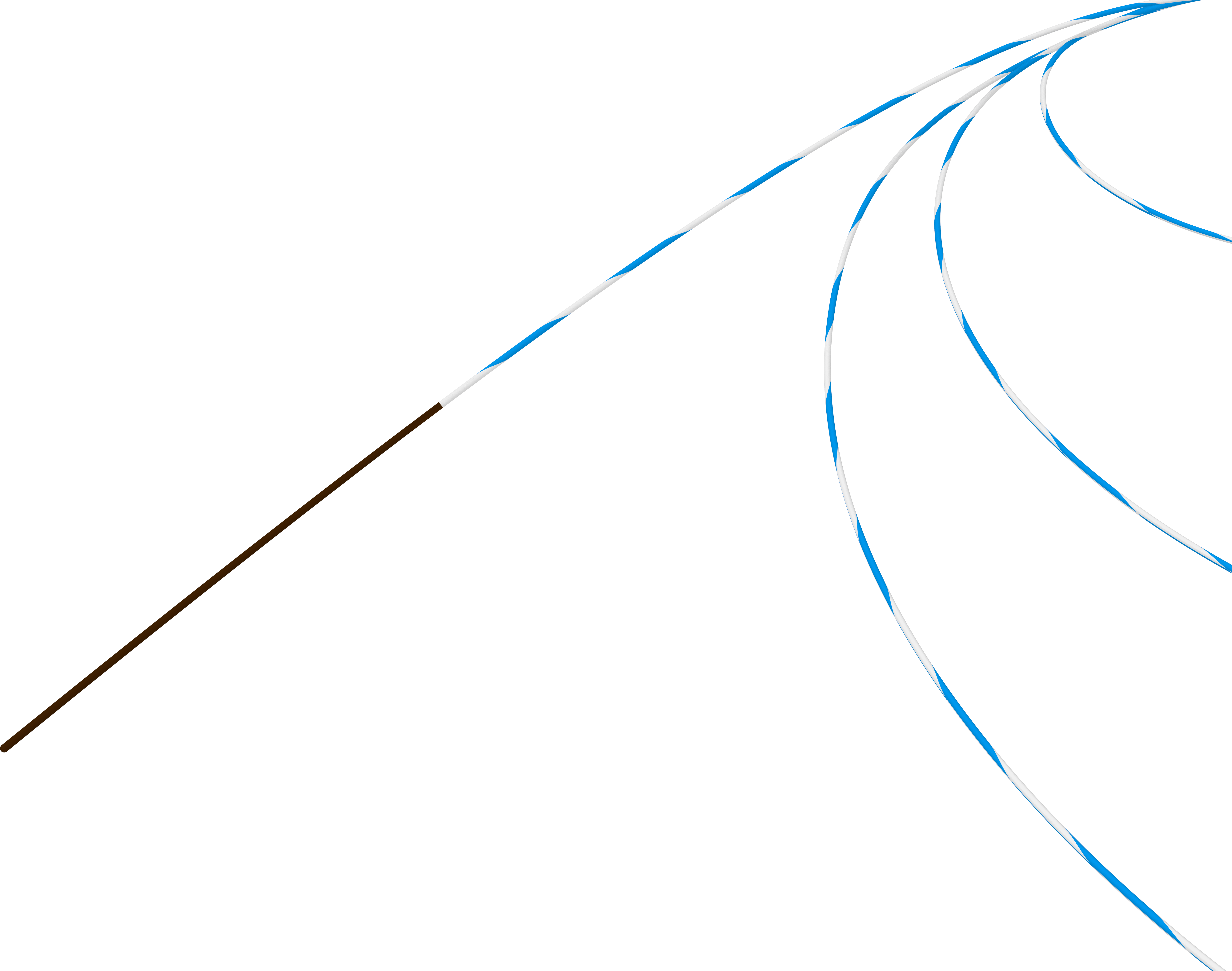 Urological Zebra Guidewire