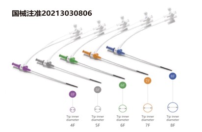 Sheath Introducer